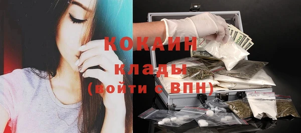 прущие крисы Инта