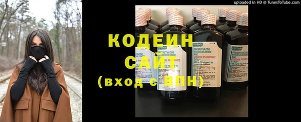 прущие крисы Инта