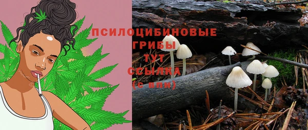 a pvp Иннополис