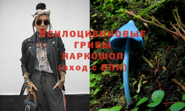 a pvp Иннополис